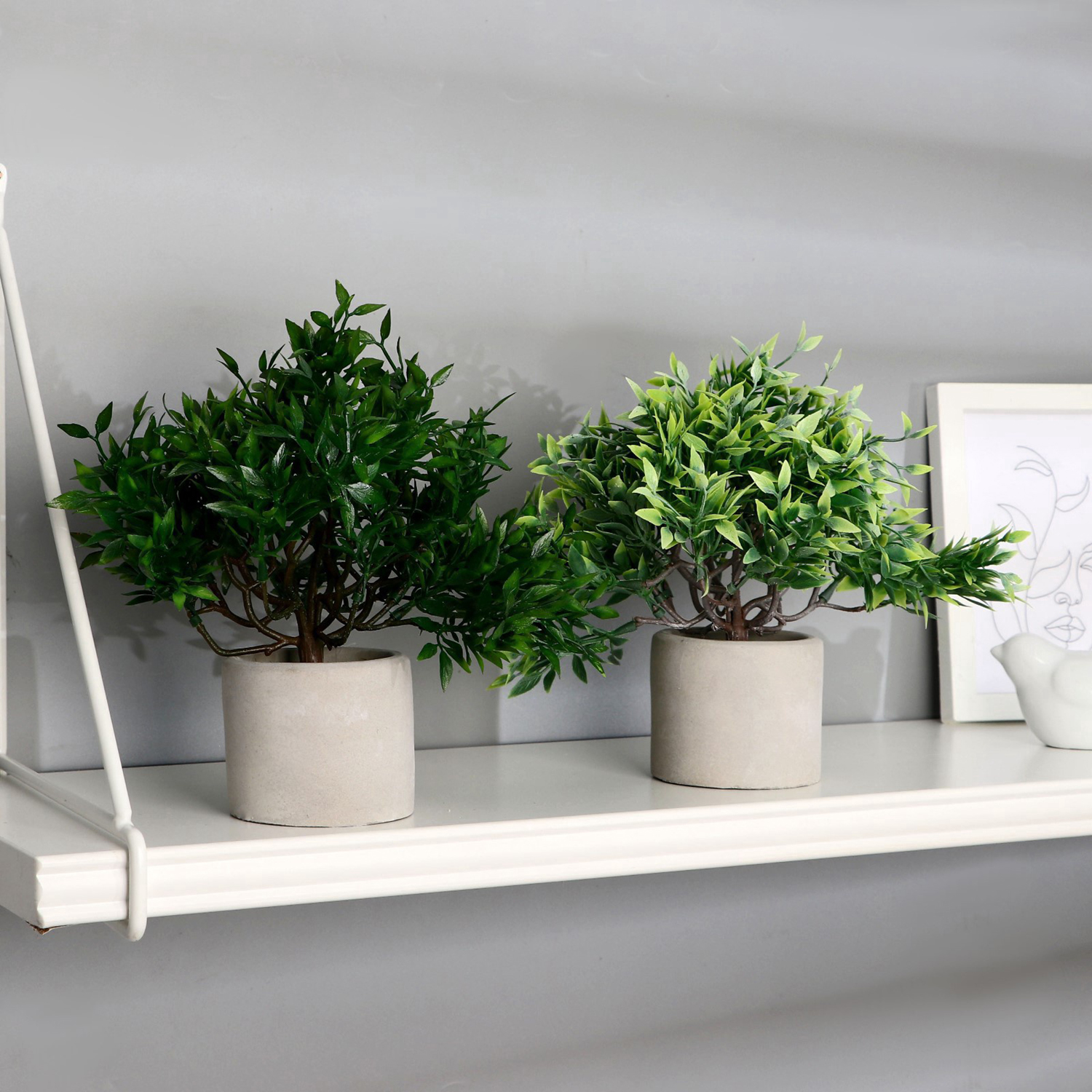 Бонсай в горшке "Фрутикоса пышная" 14х20 см, микс  9222724