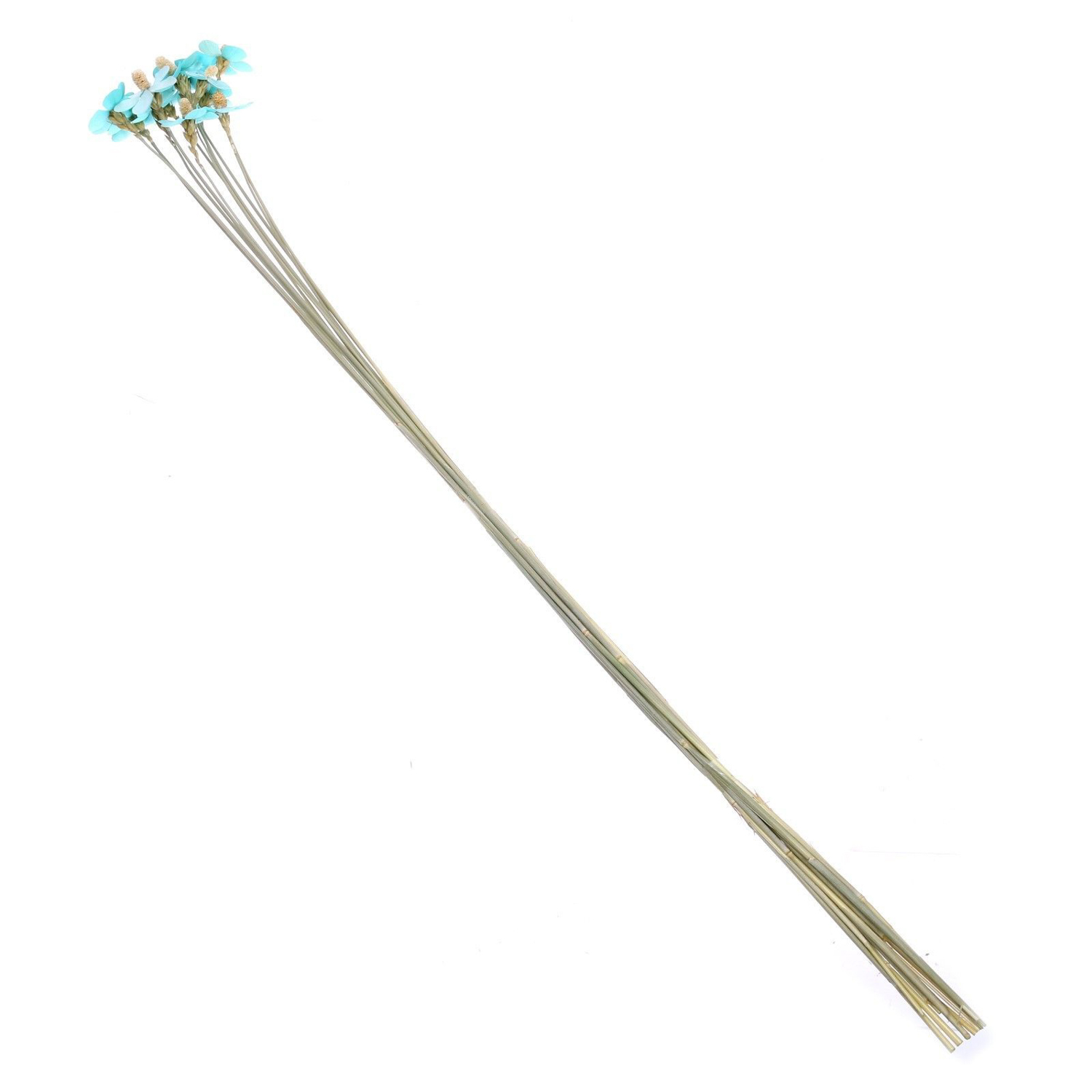 Сухоцвет Фиалка, синий, 12 шт в упаковке  7749563