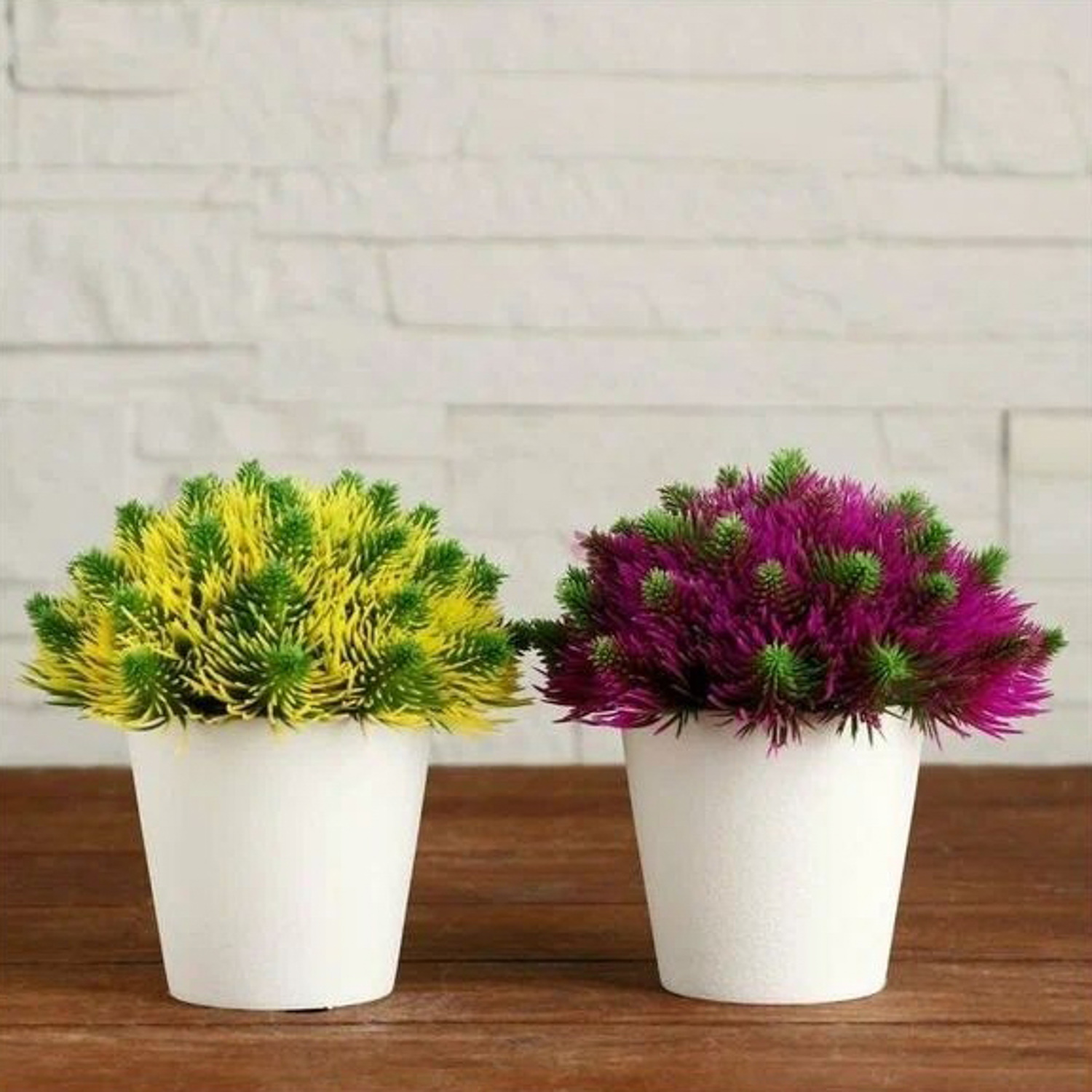 Бонсай в горшке "Пушистые иголки" 10х11 см, микс   5201991