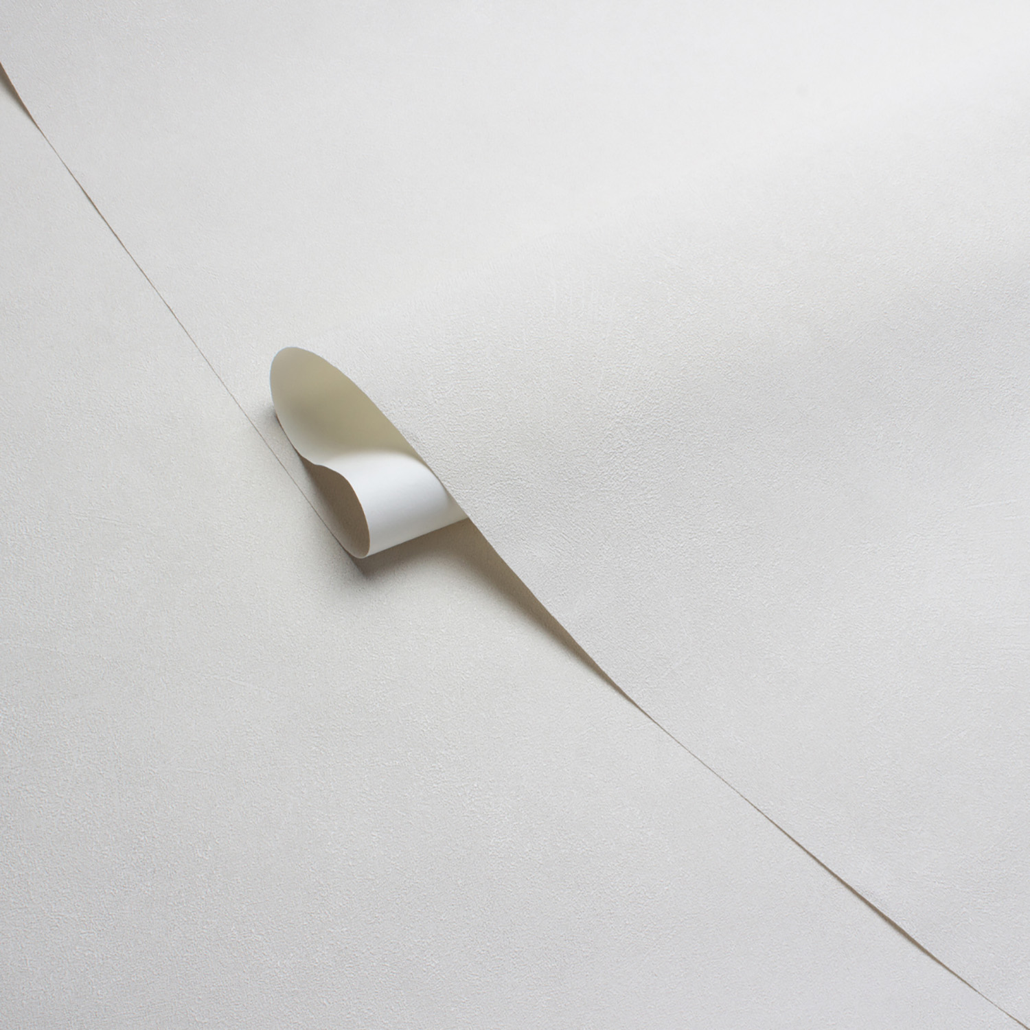 Обои флиз Victoria Stenova Stenova Magnolia фон (беж.) 585111 1.06*10м *6