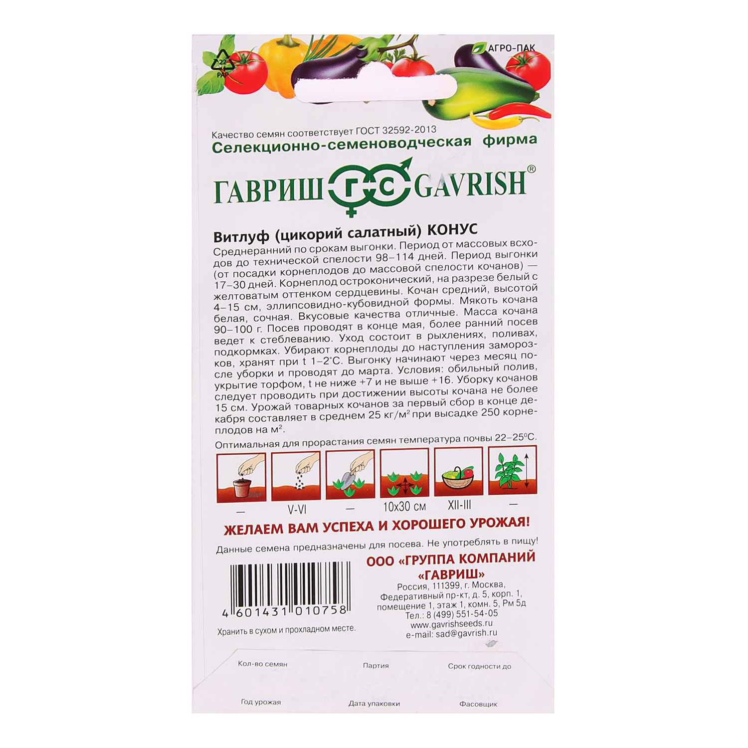 Семена Цикорий салатный Конус 0,1гр Гавриш *10/500