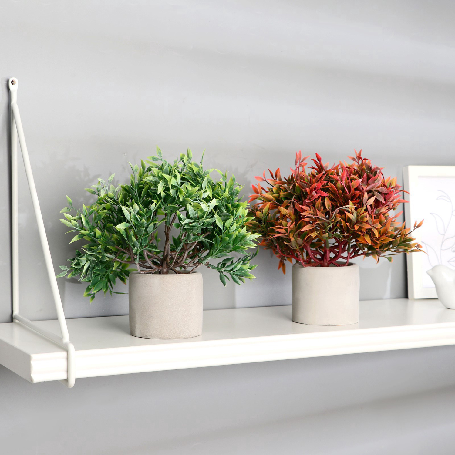 Бонсай в горшке "Фрутикоса пышная" 14х20 см, микс  9222724