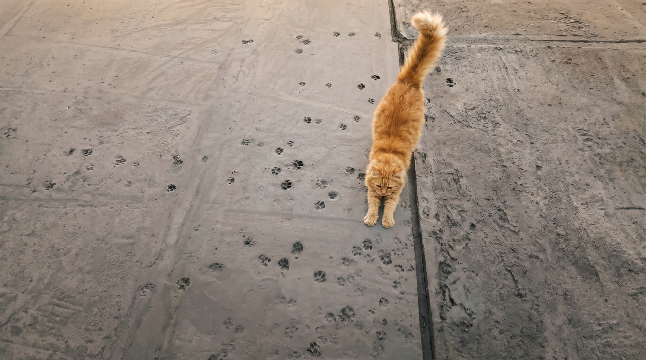 d42c797ebb5f3d2c790209ec95a605aa_d54dec1a-a7ca-4542-923c-dfb4591a17fb.png d42c797ebb5f3d2c790209ec95a605aa_d54dec1a-a7ca-4542-923c-dfb4591a17fb.png