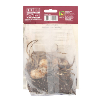 Лилия ЛА-Гибрид Атакама 14-16/2шт