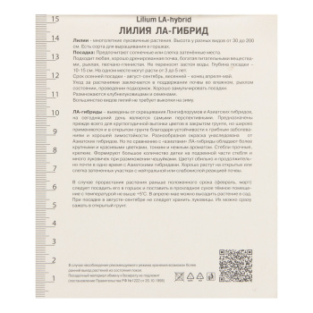 Лилия ЛА-Гибрид Атакама 14-16/2шт