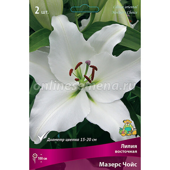 Лилия Восточная Мазерс Чойс 14-16/2шт