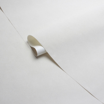 Обои флиз Victoria Stenova Stenova Magnolia фон (беж.) 585111 1.06*10м *6