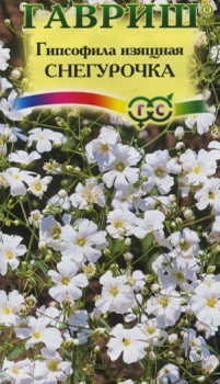 Семена Гипсофила изящная Снегурочка 0,1гр Гавриш *10/200