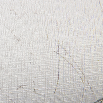 Обои бумажные Гомельобои 0521029-11, 0.53х10.05 м