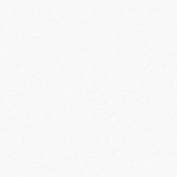 Обои флиз "WallSecret Basic" Espresso 8809-01 10*1,06м *6 Обои флиз "WallSecret Basic" Espresso 8809-01 10*1,06м *6