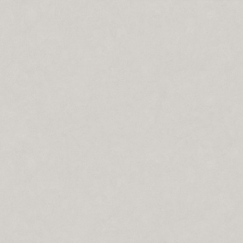 Обои флиз Victoria Stenova Stenova Magnolia фон (сер.) 585116 1.06*10м *6