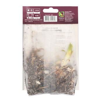 Лилия ЛА-Гибрид Индиан Саммерсет 14-16/2шт